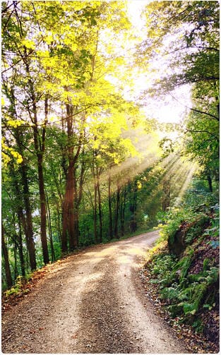 ADHS Therapiefinder-Coaching 5 Dein Weg bei ADHS-Symptomen